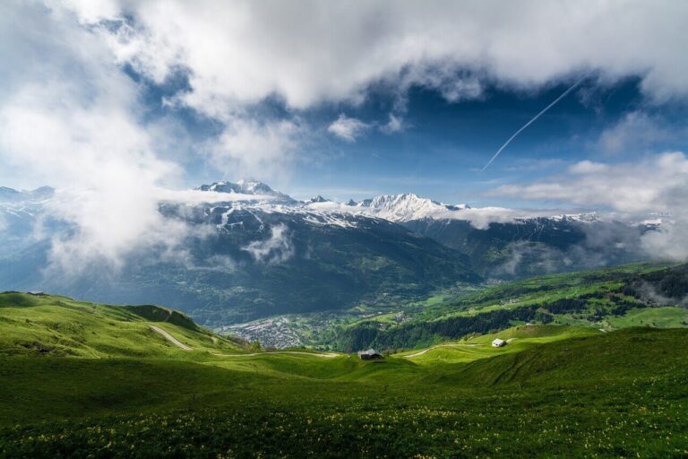blog-4 image